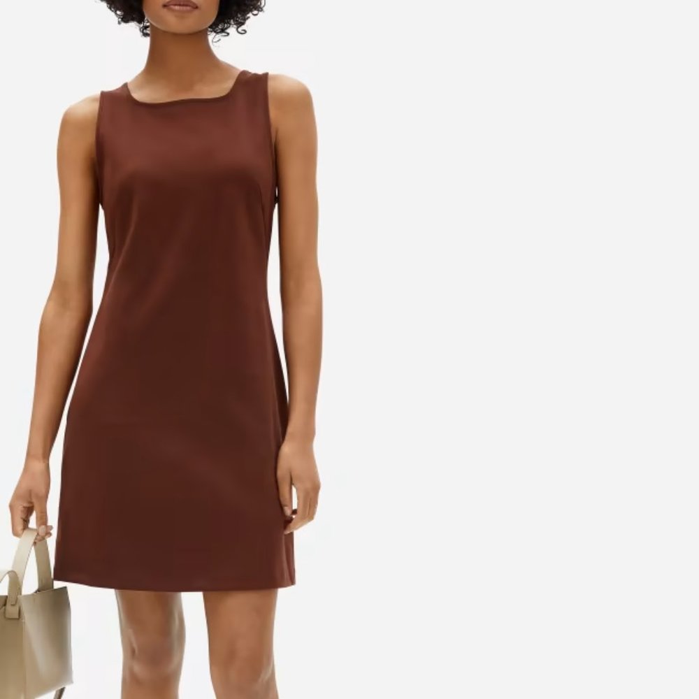 Everlane The "Party Of One" Tank Dress in Burgundy | XL